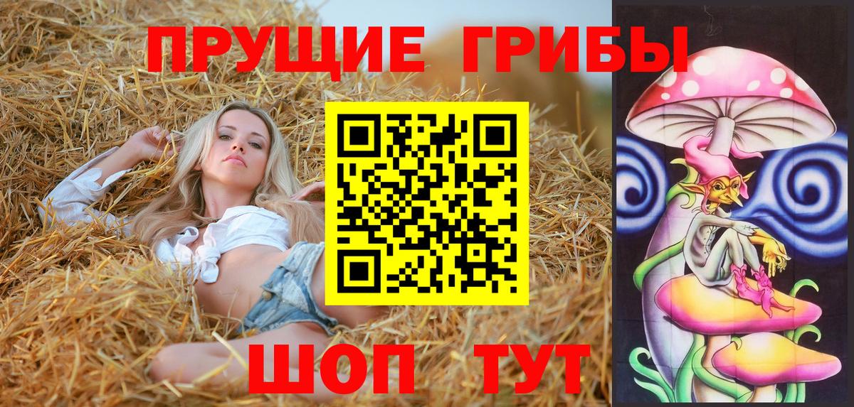 Жигулёвск  Галлюциногенные грибы MAGIC MUSHROOMS  Вход с VPN 
