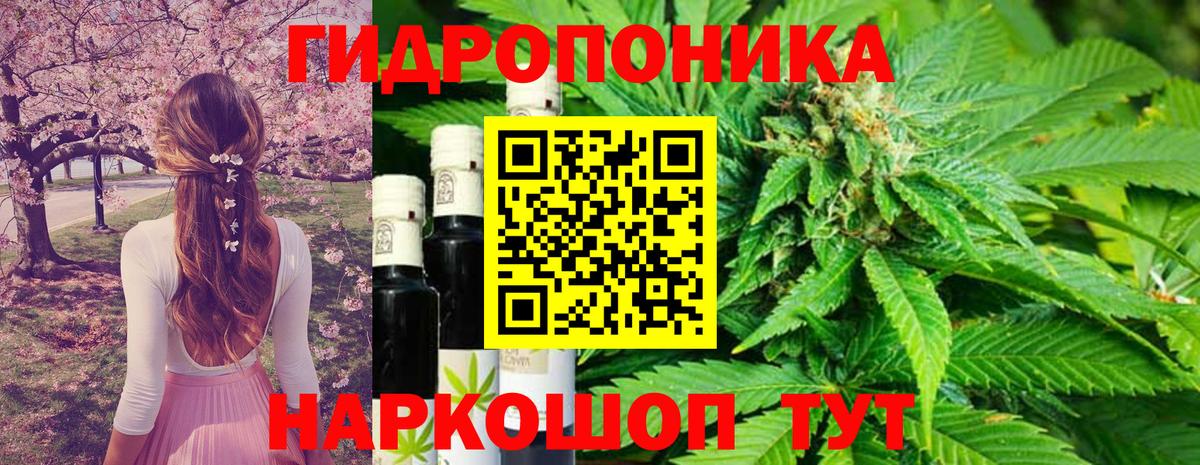 Бошки марихуана индика Жигулёвск